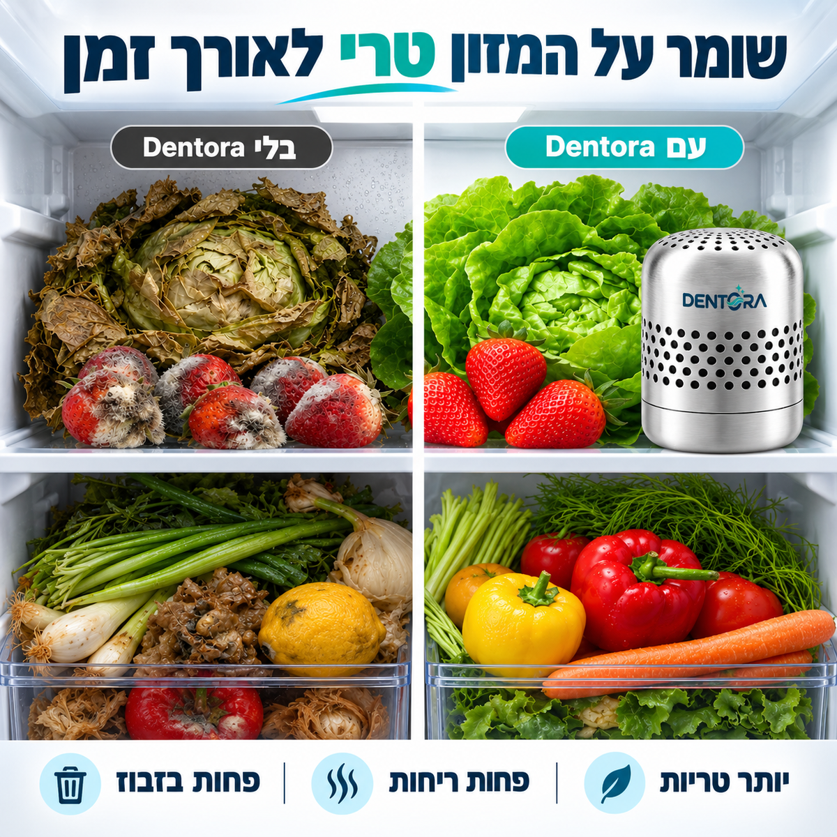 דנטורה – הפתרון המתקדם לנטרול ריחות במקרר